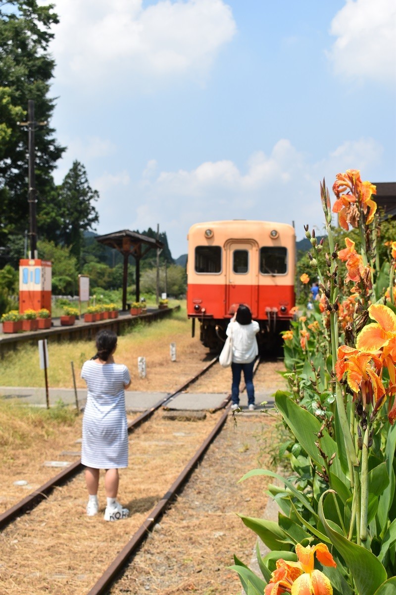f:id:peepooblue:20190820054003j:plain f:id:peepooblue:20190820054003j:plain