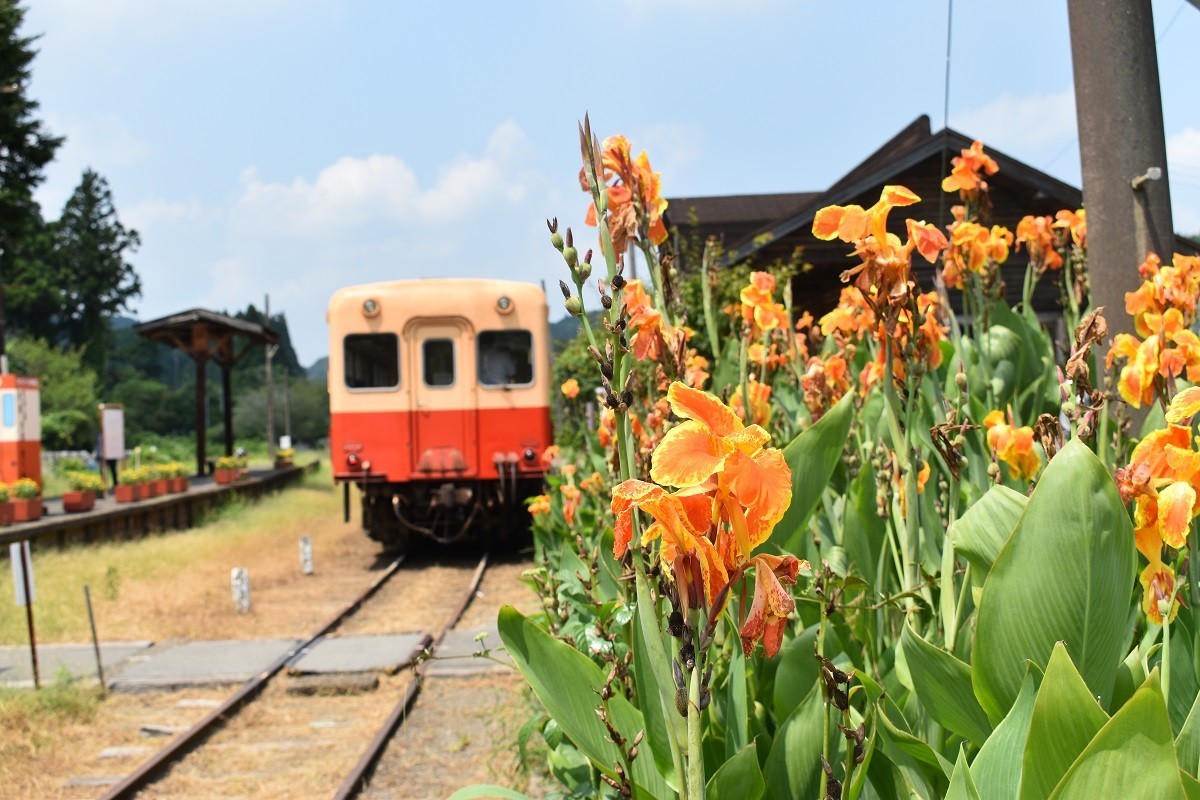 f:id:peepooblue:20190820054102j:plain f:id:peepooblue:20190820054102j:plain