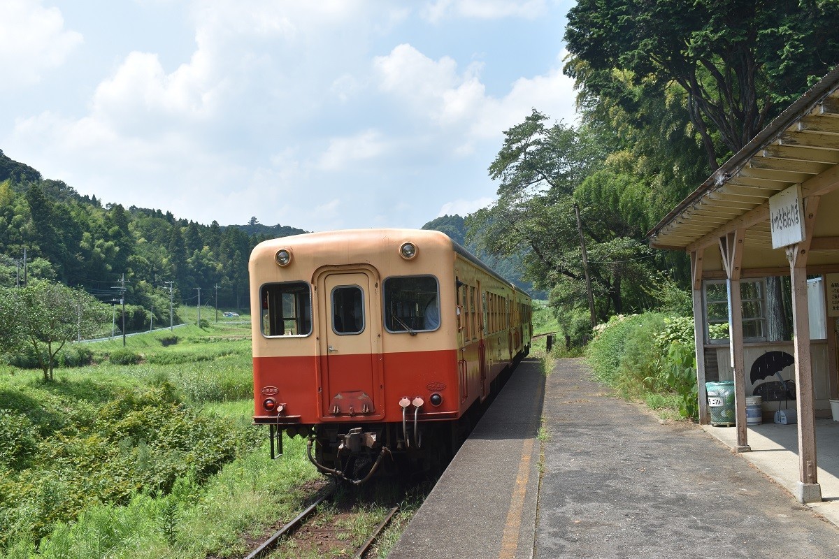 f:id:peepooblue:20190820060044j:plain f:id:peepooblue:20190820060044j:plain