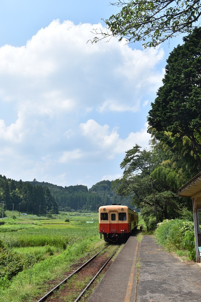 f:id:peepooblue:20190820060149j:plain f:id:peepooblue:20190820060149j:plain