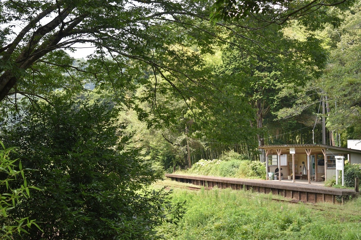 f:id:peepooblue:20190820062015j:plain f:id:peepooblue:20190820062015j:plain