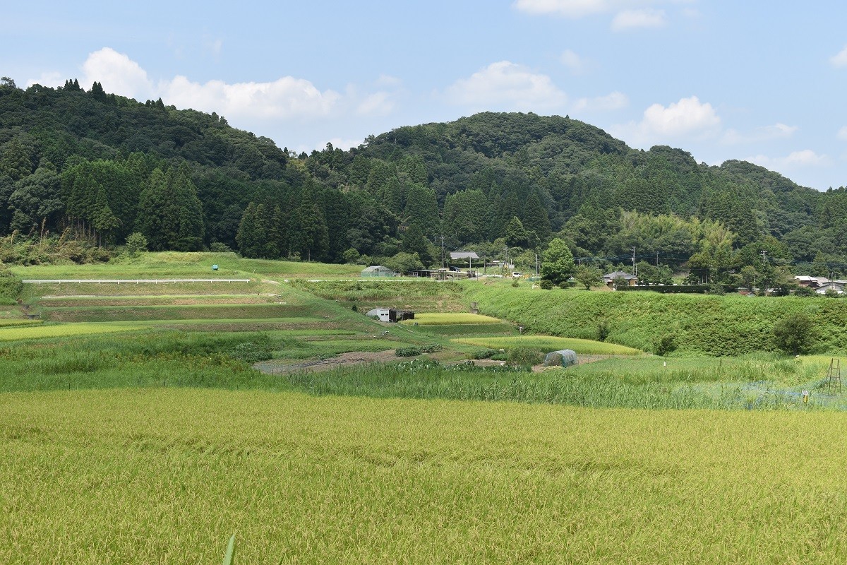 f:id:peepooblue:20190820062741j:plain f:id:peepooblue:20190820062741j:plain