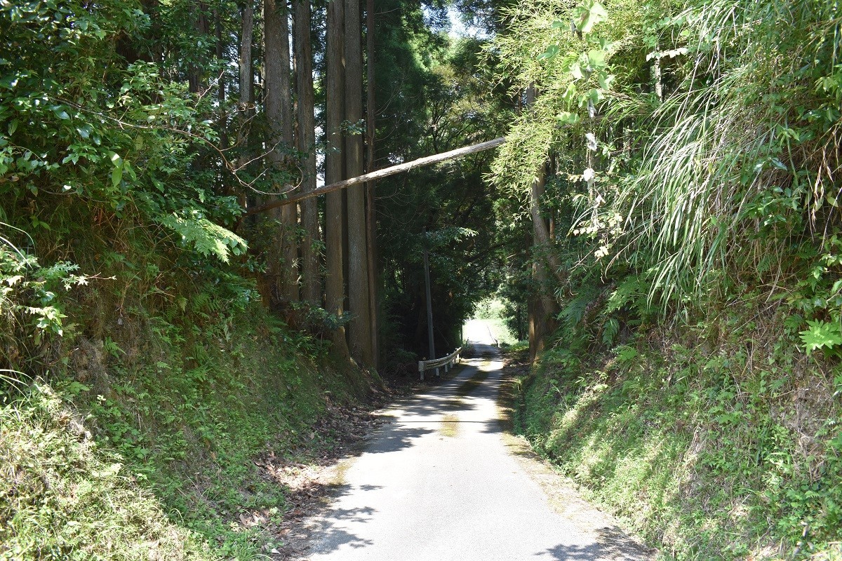 f:id:peepooblue:20190820065137j:plain f:id:peepooblue:20190820065137j:plain