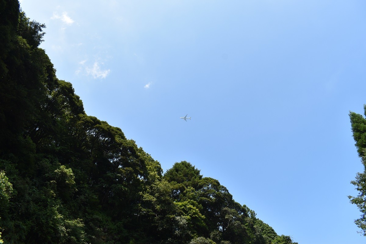 f:id:peepooblue:20190820082508j:plain f:id:peepooblue:20190820082508j:plain