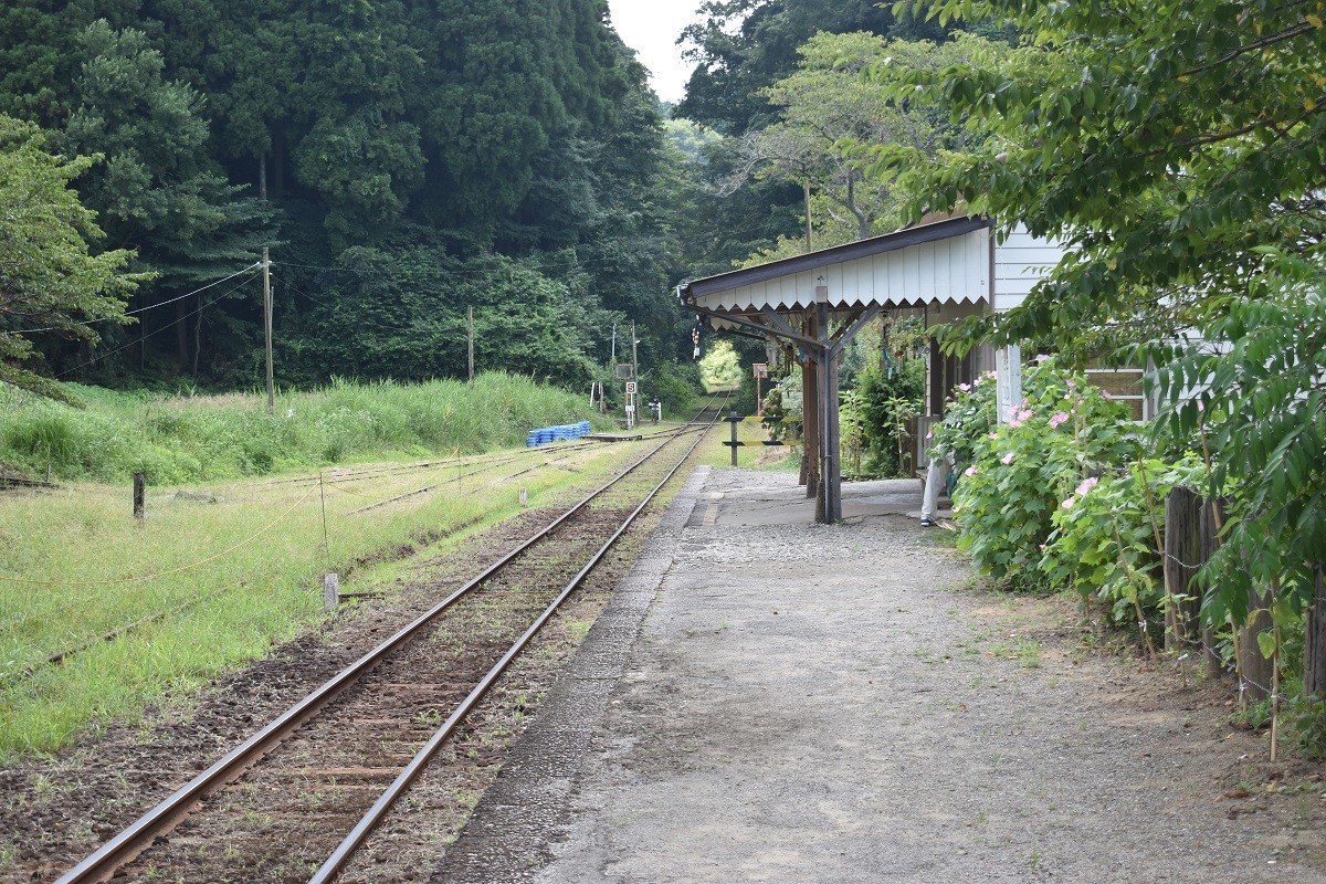 f:id:peepooblue:20190820134109j:plain f:id:peepooblue:20190820134109j:plain