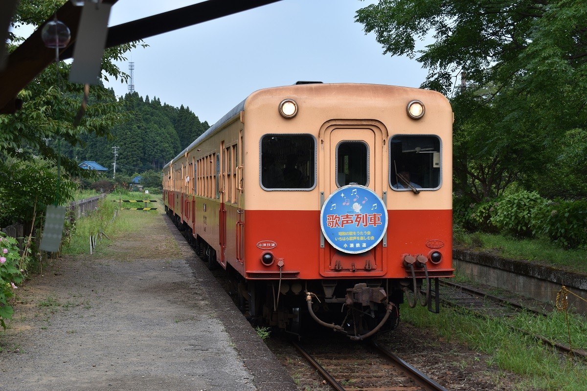 f:id:peepooblue:20190820134333j:plain f:id:peepooblue:20190820134333j:plain