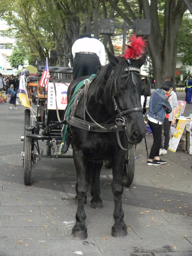 世田谷まちなか観光馬車 - Peepooblue's Sketchbook
