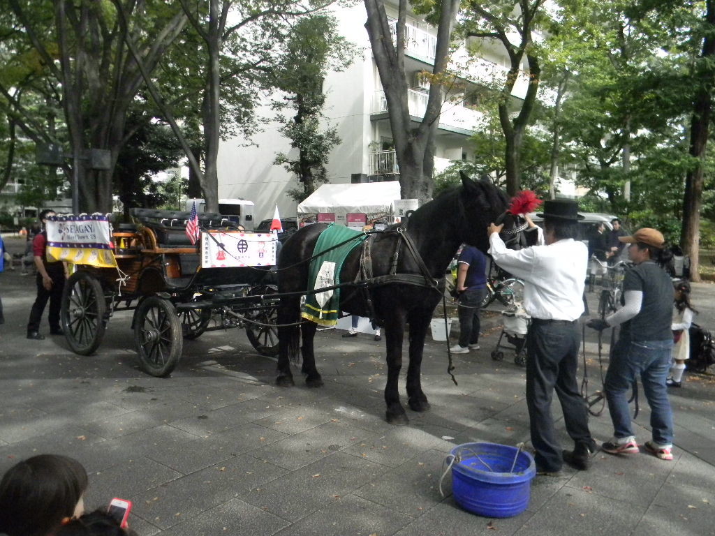 世田谷まちなか観光馬車 - Peepooblue's Sketchbook