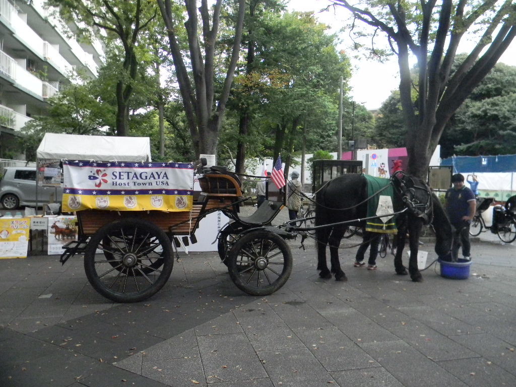 世田谷まちなか観光馬車 - Peepooblue's Sketchbook