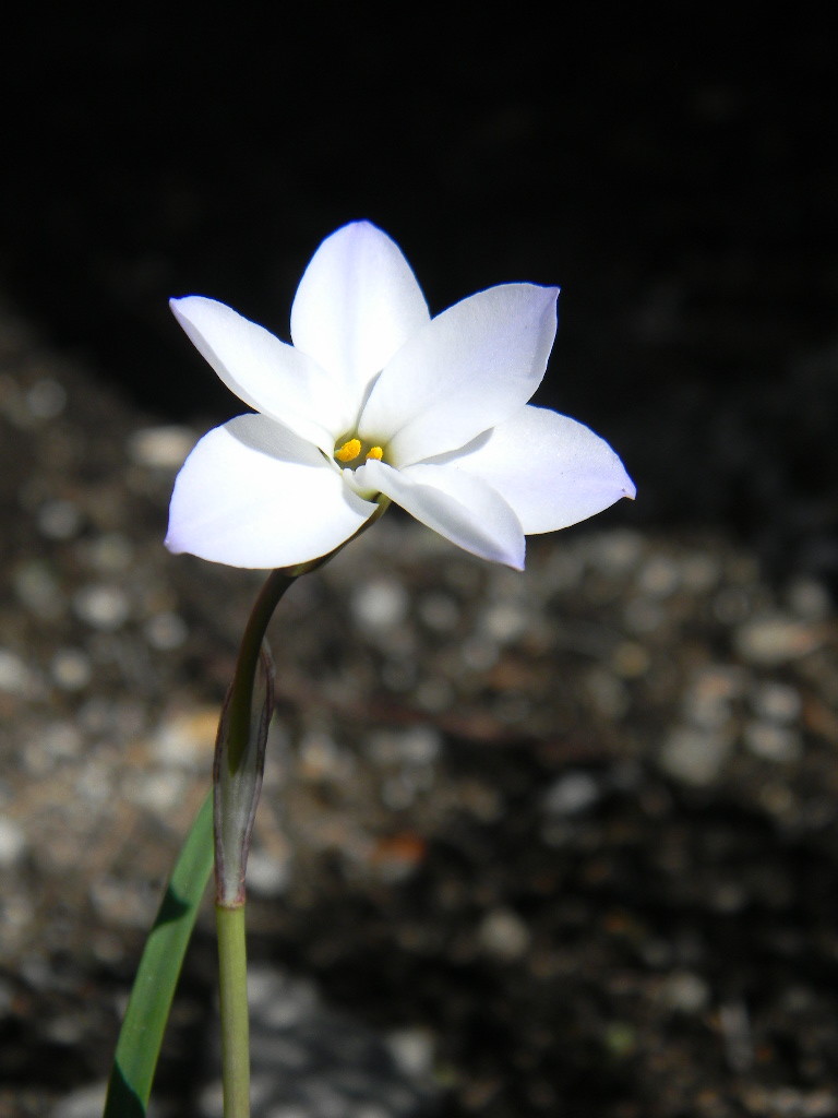 f:id:peepooblue:20200312111208j:plain f:id:peepooblue:20200312111208j:plain