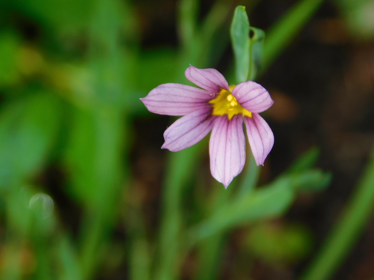 Moumoonとは 音楽の人気 最新記事を集めました はてな