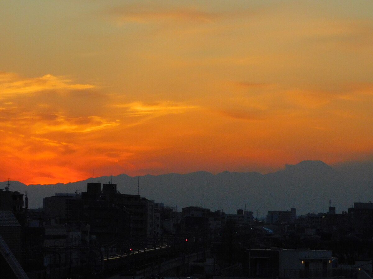 DonkeyKong1337 19日夕方 MDAwMDA3MjI2Mw_MC44Mzg1NTUwMCA