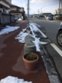 20160205121530