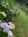 20160610091254