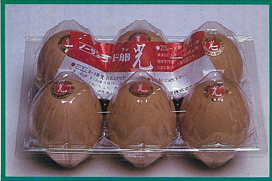 f:id:pegaman:20191208152232j:plain