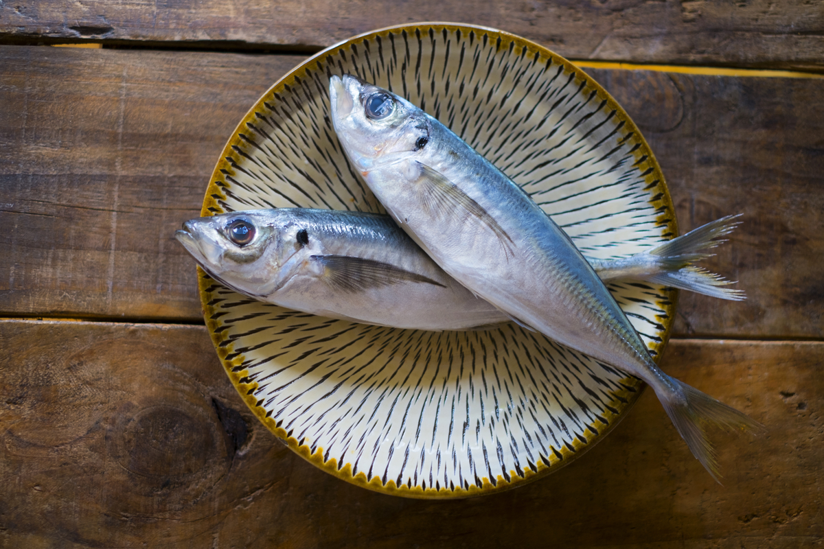 f:id:pegasass123:20200523151526j:plain