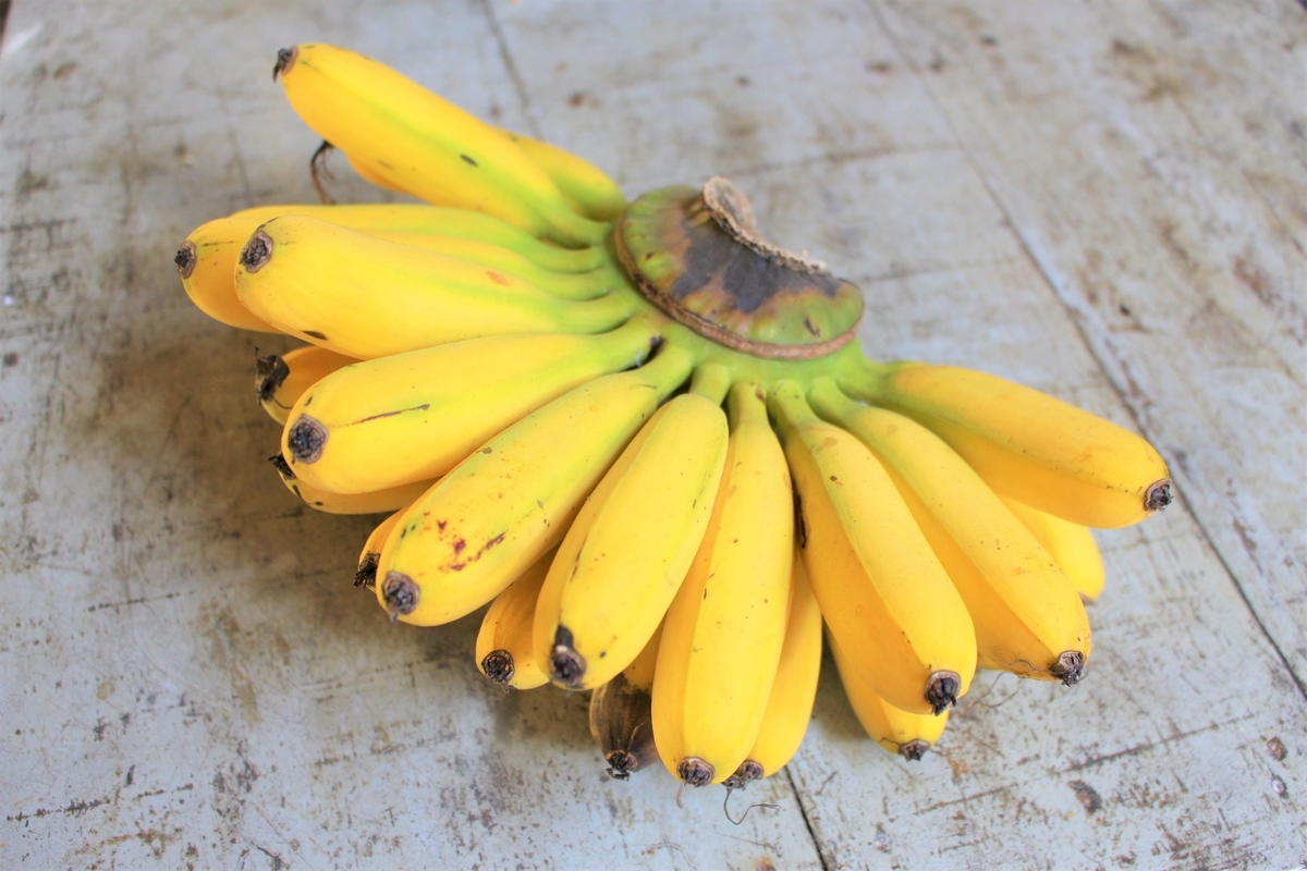 f:id:pegasass123:20200523151704j:plain