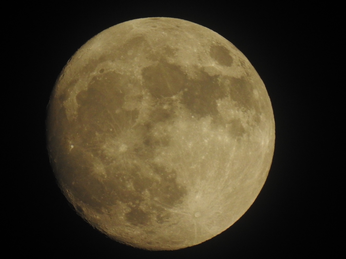 f:id:pegasass123:20201126155838j:plain