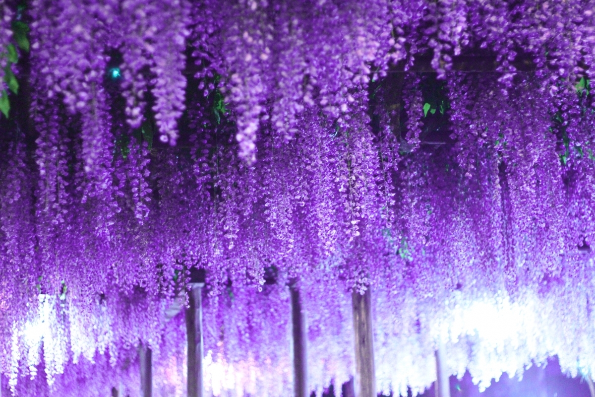 f:id:pegasass123:20201230004134j:plain