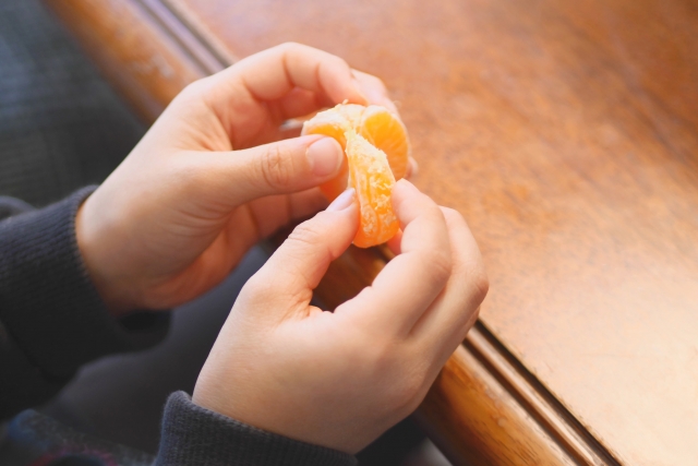 f:id:pegasass123:20210109133249j:plain