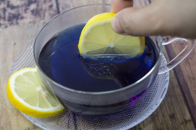 f:id:pegasass123:20210127144804j:plain