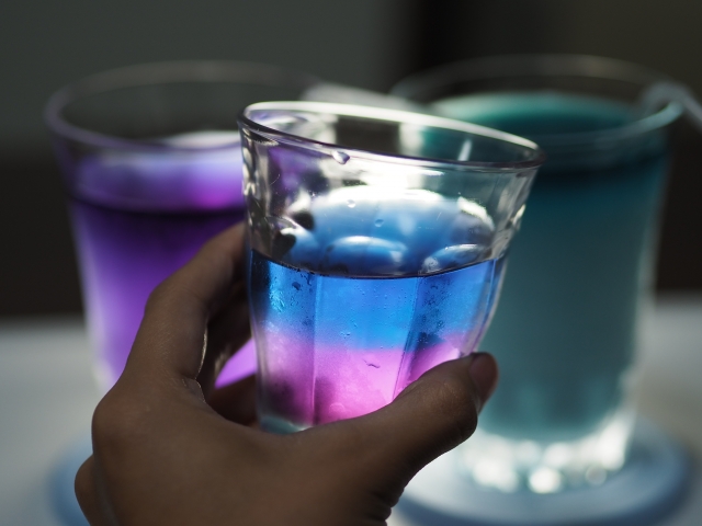 f:id:pegasass123:20210127144813j:plain