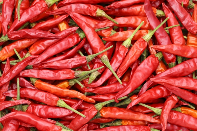 f:id:pegasass123:20210216203031j:plain