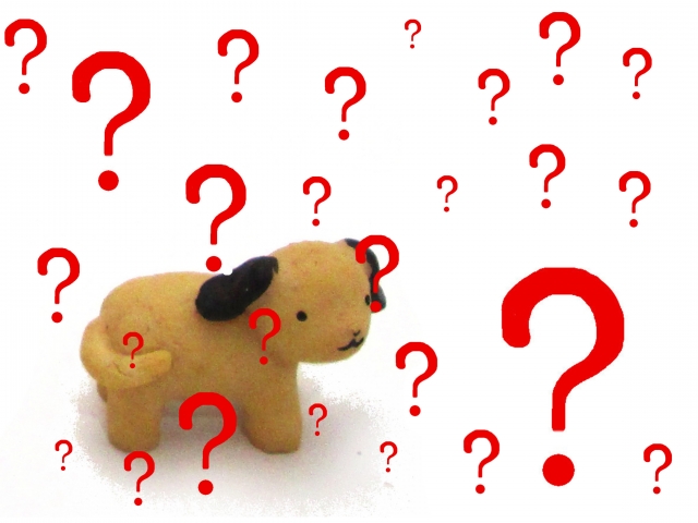 f:id:pegasass123:20210223130413j:plain