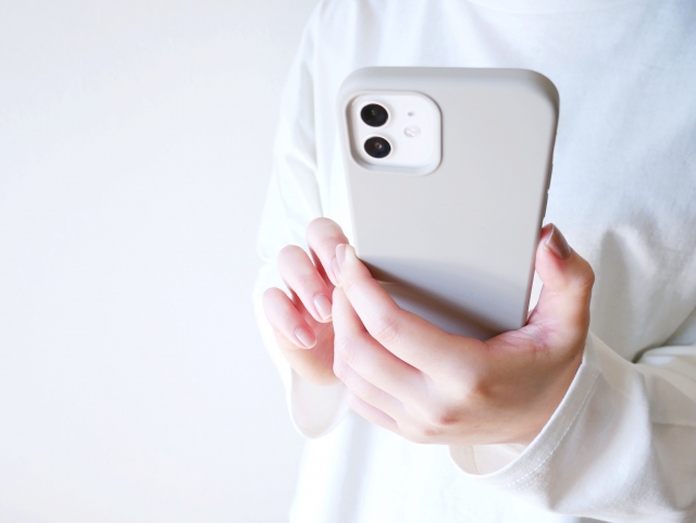 f:id:pegasass123:20210223150120j:plain