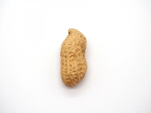 f:id:pegasass123:20210223150356j:plain