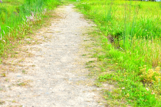 f:id:pegasass123:20210305221748j:plain