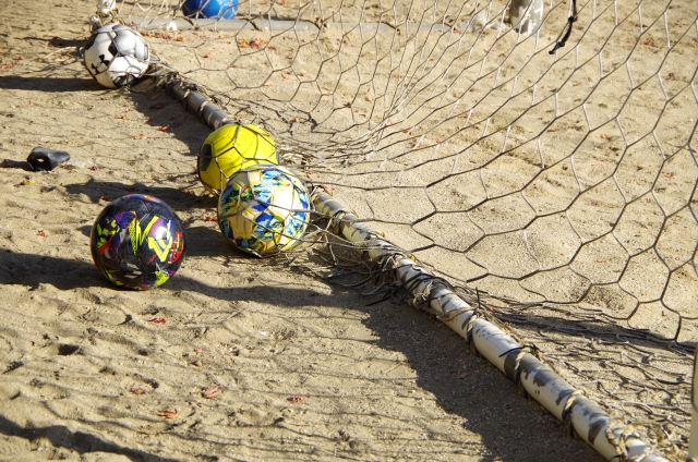 f:id:pegasass123:20210311153433j:plain