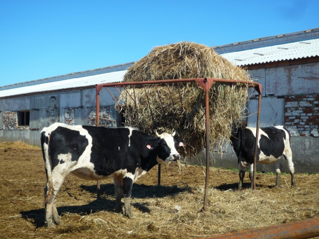 f:id:pegasass123:20210420121402j:plain