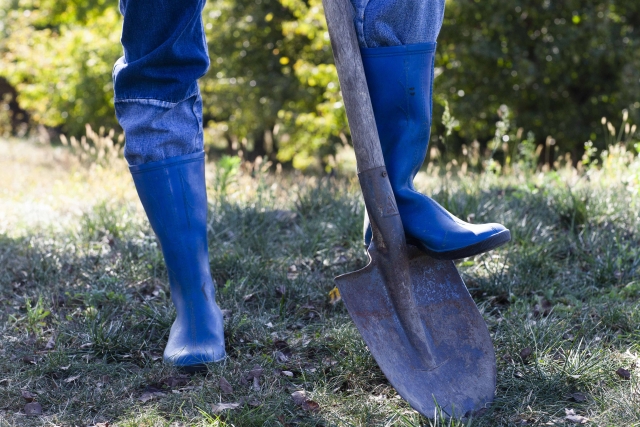 f:id:pegasass123:20210420121405j:plain