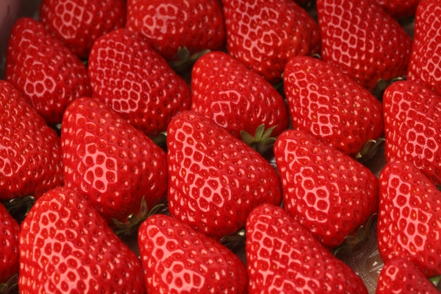 f:id:pegasass123:20210511101157j:plain