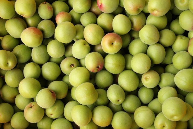 f:id:pegasass123:20210616172142j:plain