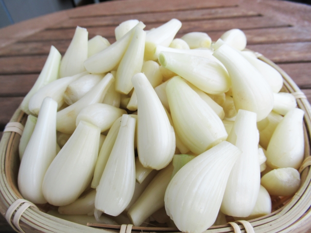 483円 宅配 グルメ 送料無料 福井県産花らっきょ3年掘り 小粒 甘酢漬け 250g お取り寄せ 483円 宅配 グルメ 送料無料 福井県産花らっきょ3年掘り 小粒 甘酢漬け 250g お取り寄せ