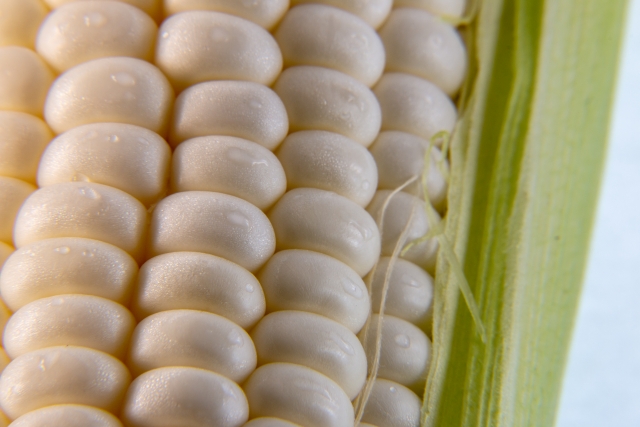 f:id:pegasass123:20210711140051j:plain