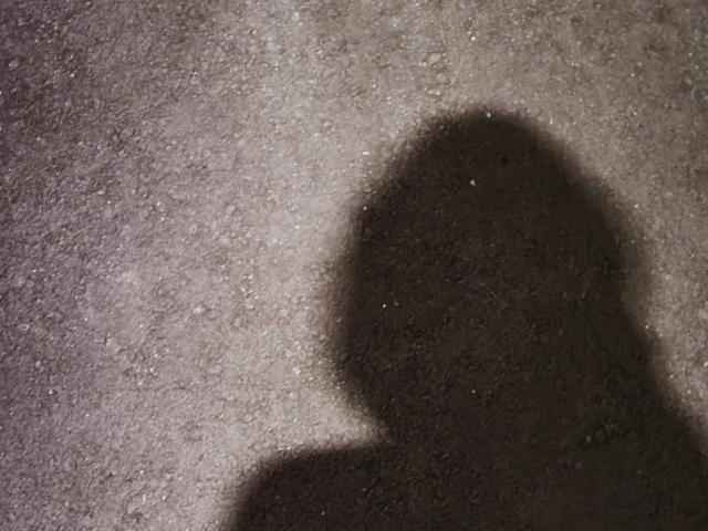 f:id:pegasass123:20210802221031j:plain