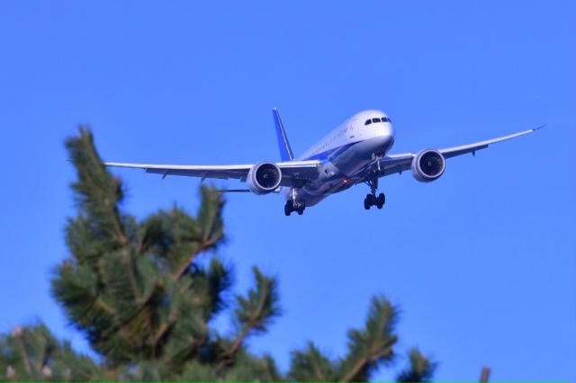 f:id:pegasass123:20210823140921j:plain