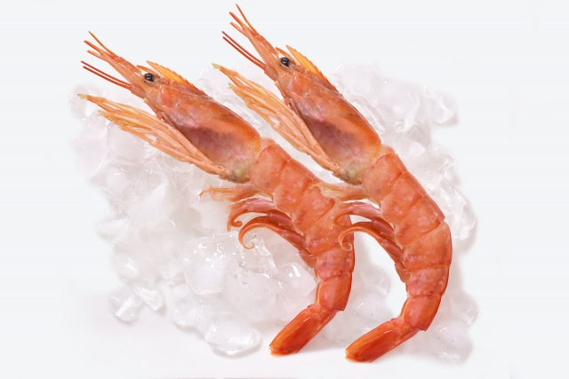 f:id:pegasass123:20210906162434j:plain