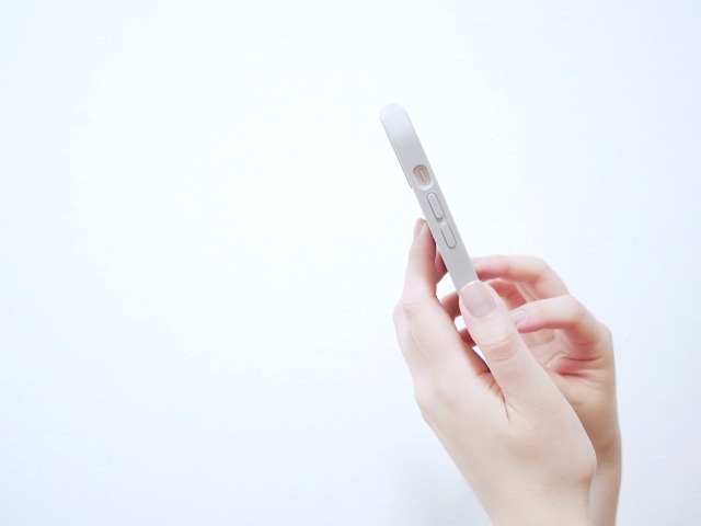 f:id:pegasass123:20211121012634j:plain