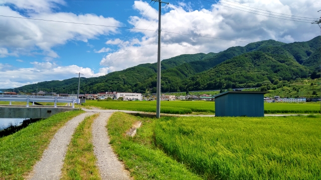 f:id:pegasass123:20220416170843j:plain