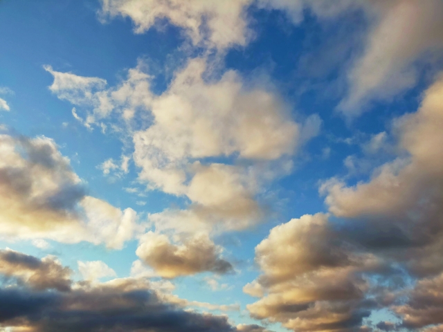 ウォーキングデッドを見る順番は絶対にこれ！その理由や見所をご紹介します。5