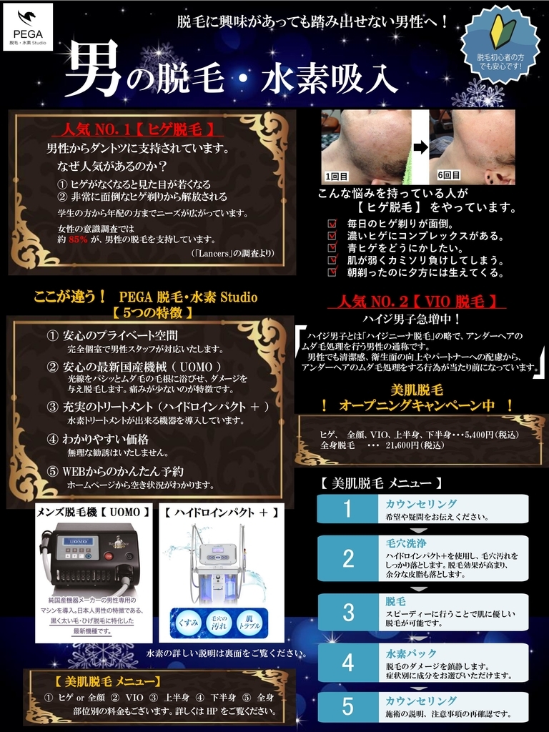 f:id:pegastudio:20181211124038j:plain f:id:pegastudio:20181211124038j:plain