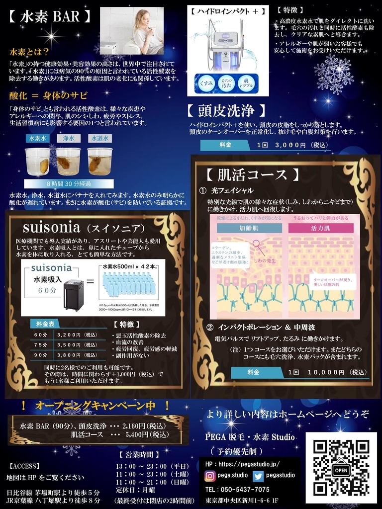 f:id:pegastudio:20181211124129j:plain f:id:pegastudio:20181211124129j:plain