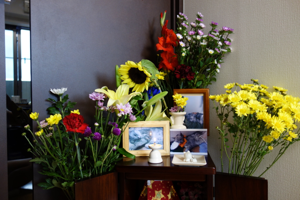 f:id:pei0823:20151129210645j:plain