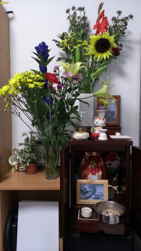 f:id:pei0823:20161113140029j:plain f:id:pei0823:20161113140029j:plain