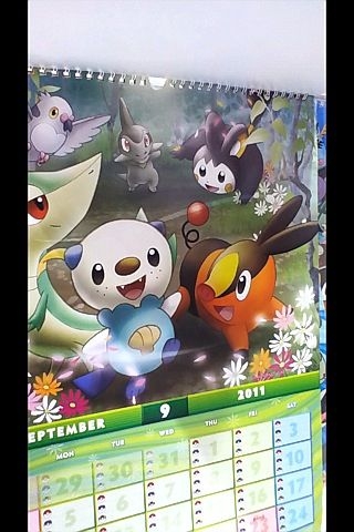 [ポケモンセンター][アートコレクションカ]