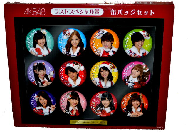 AKB48 セブンイレブン2011 1番くじラストスペシャル賞の缶バッジセット